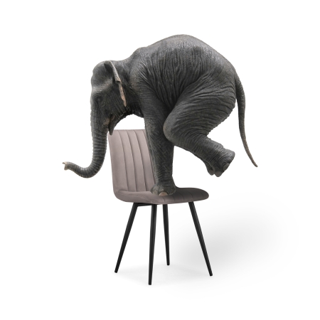 Стул на металлокаркасе Дани латте велюр velutto 08, черный