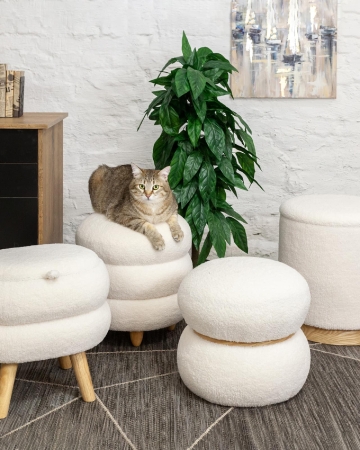 Пуф с ящиком Холли L тедди белый