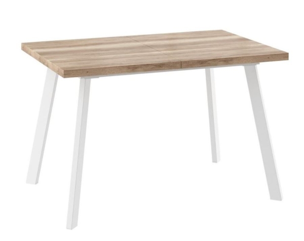 Cтол раздвижной БОРГ-120(160)х80 дуб каньон, белый