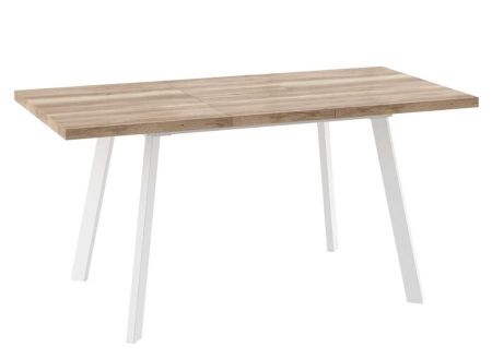 Стол раздвижной БОРГ-120(160)х80 дуб каньон, белый