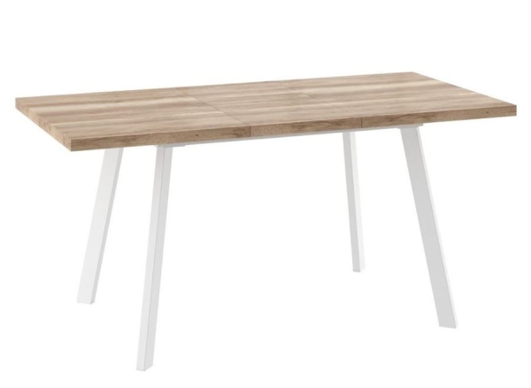 Cтол раздвижной БОРГ-120(160)х80 дуб каньон, белый